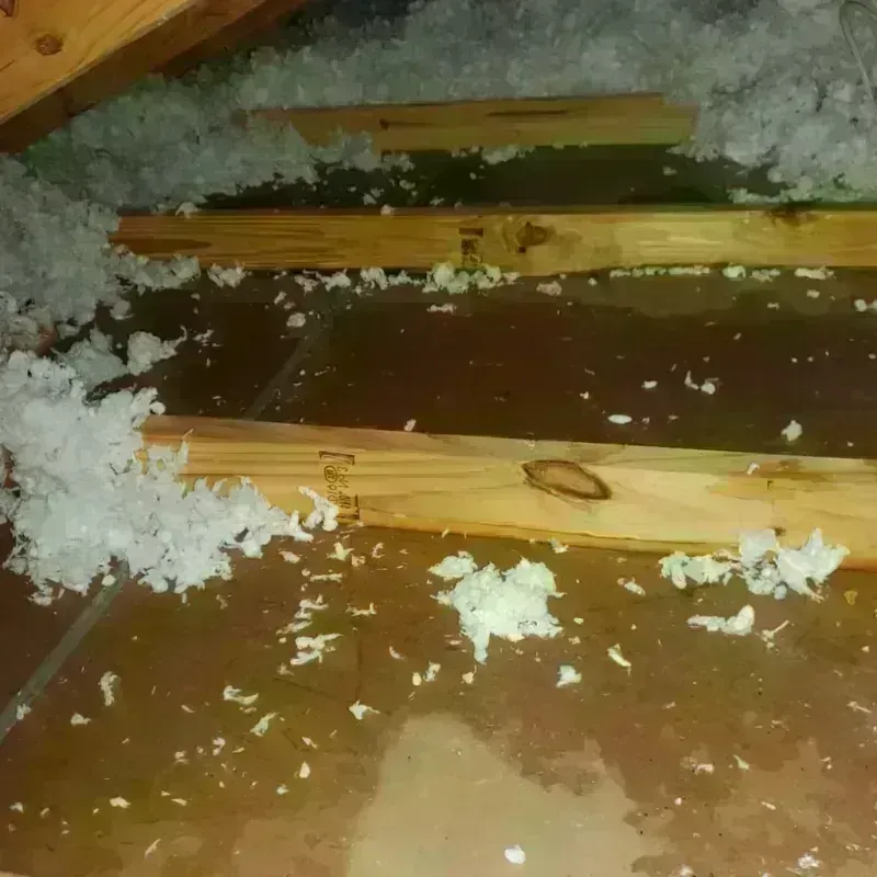 Attic Water Damage in Lincoln County, NC