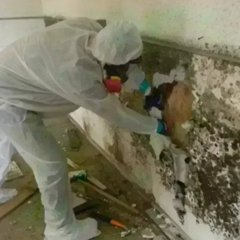 Mold Remediation and Removal in Lincoln County, NC